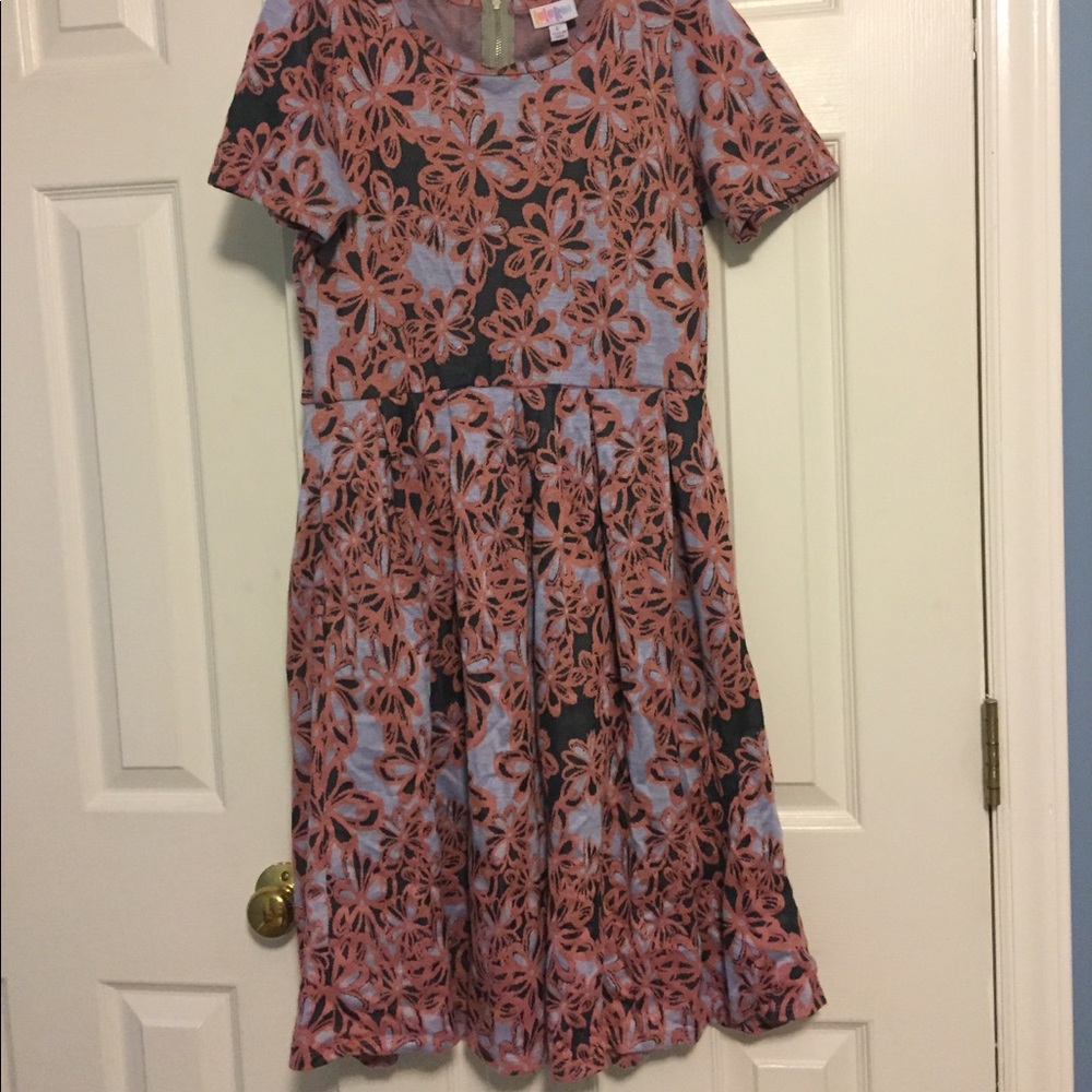 LULAROE L Amelia in pink& blue floral print